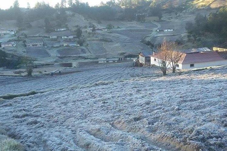 Los cultivos podrían verse afectados por heladas, advierte el Insivumeh. (Foto Prensa Libre: Hemeroteca PL)