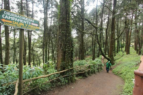 Autoridades  que integrarán  la mancomunidad planean  proteger  los manantiales  y el  bosque   del cerro Alux.