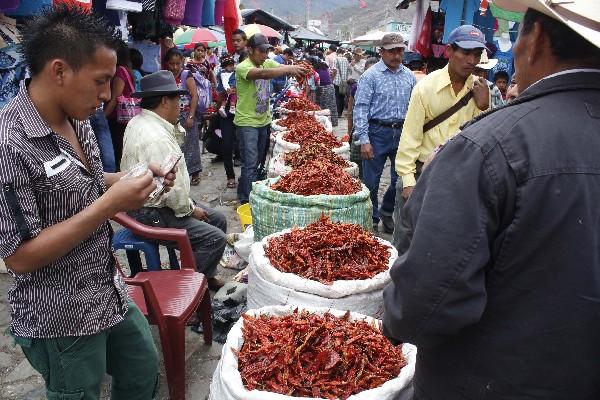 Durante la feria de Rabinal,  vecinos se abastecen de chile denominado San Pablo.