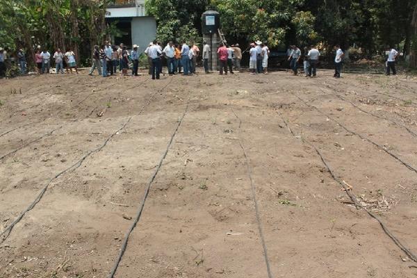 Vecinos de   varias comunidades conocen     sistema de microrriego, en Puerto San José, Escuintla.