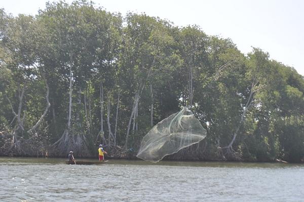 Líderes comunitarios de Retalhuleu piden detener la tala ilegla de mangle en Manchón Guamuchal. (Foto Prensa Libre, Jorge Tizol)<br _mce_bogus="1"/>