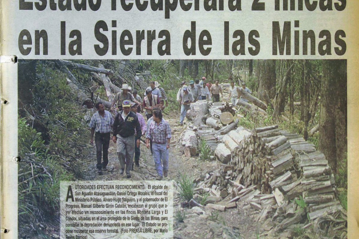 Sierra de Las Minas, depredada a lo largo de dos décadas (Foto: Hemeroteca PL)