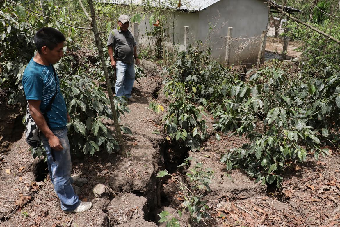 Líderes comunitarios muestran una de las áreas afectadas por la grieta, que ya tiene un metro de ancho, en el caserío Xetzac, San José Poaquil. (Foto Prensa Libre: Víctor Chamalé)