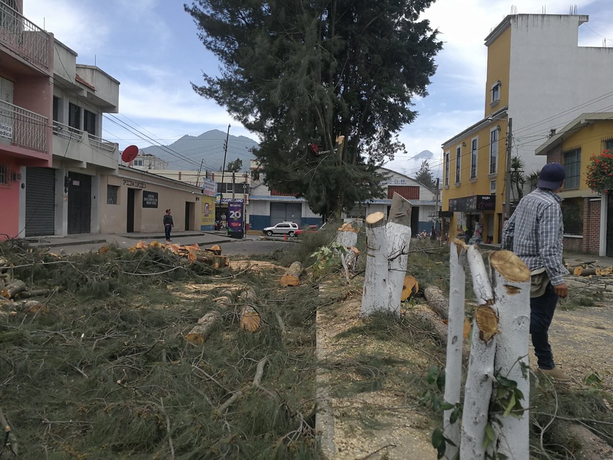 Así luce la calle donde los trabajadores municipales cortaron más de 20 árboles. (Foto Prensa Libre: Fred Rivera)