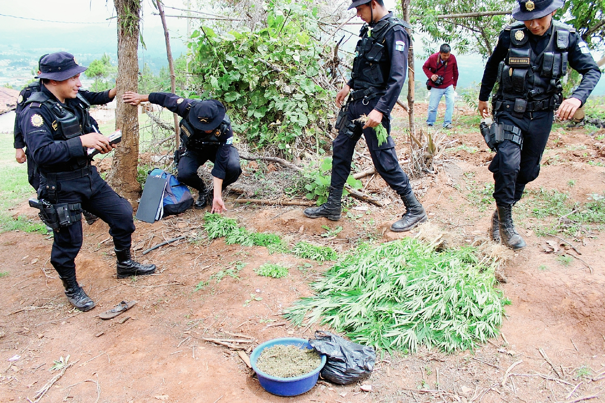 Las autoridades,  luego de haber contabilizado lo incautados en el Cantón Xesic II de la cabecera de Santa Cruz del Quiché, Quiché, procedieron a quemar la droga. (Foto Prensa Libre: Óscar Figueroa)