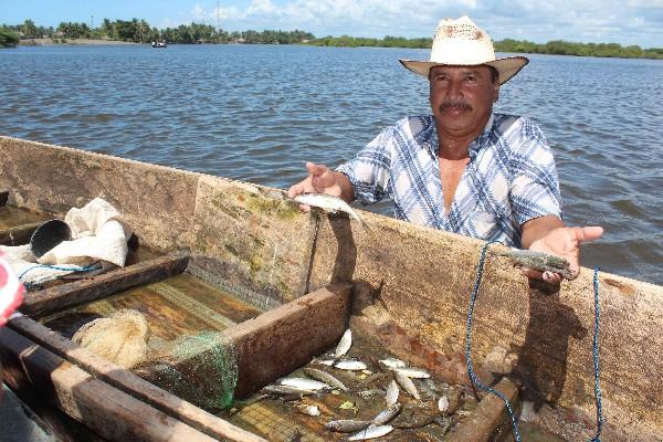 Un  pescador muestra el  producto.