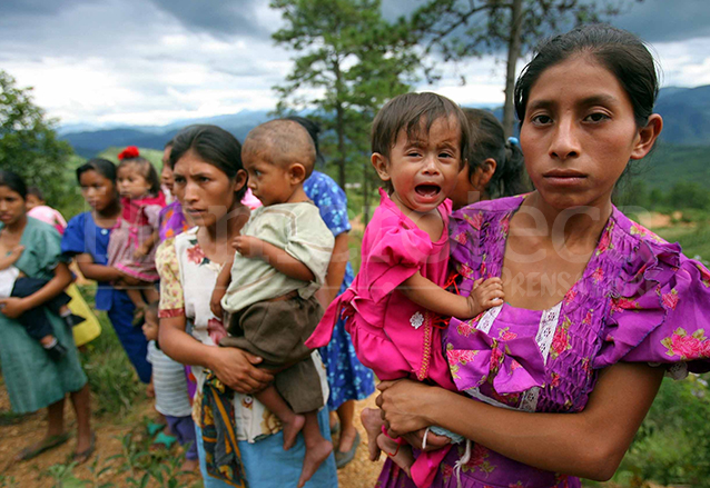 La desnutrición de la madre embarazada impacta directamente en el bebé. (Foto: Hemeroteca PL)