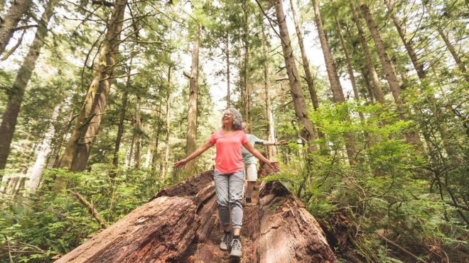 Si viajar reduce los niveles de estrés, probablemente estás alargando tu vida. (GETTY IMAGES)