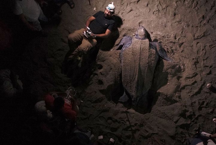 Su primer documental es "Cacú: Un cambio por la vida", acerca de la preservación de la tortuga marina. (Foto cortesía de Marvin del Cid).