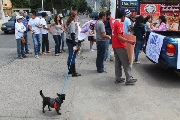 Grupo de  jóvenes participa en caminata, en contra de exterminio de perros, en Totonicapán. (Foto Prensa Libre: Édgar Domínguez)