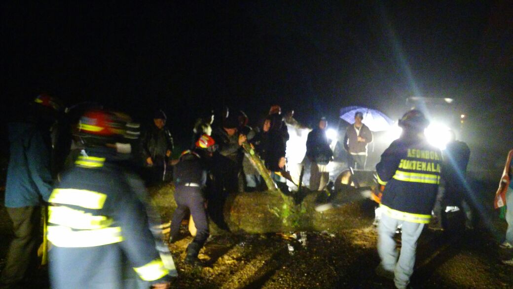 Un árbol impidió el paso entre San Marcos y Quetzaltenango. Bomberos trabajaron para permitir la circulación. (Foto Prensa Libre: CBMD)