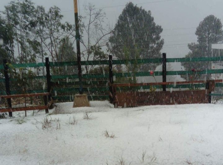 Una de las áreas que quedó cubierta de granizo en la comunidad Tojchoj Grande, Tacaná. (Foto Prensa Libre: Carlos Barrios).