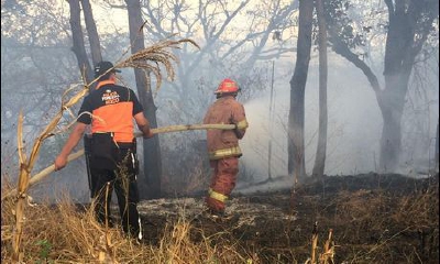 Policías Forestales de Mixco y Bomberos combaten el incendio en el predio municipal de San Cristóbal, zona 8.