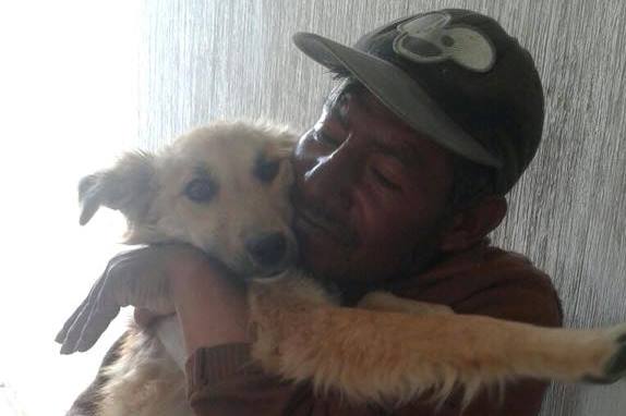 Uno de los perros esterilizados durante la jornada de castración en Totonicapán, donde algunas personas también llevaron a sus mascotas. (Foto Prensa Libre: Asociación Pro Medio Ambiente)