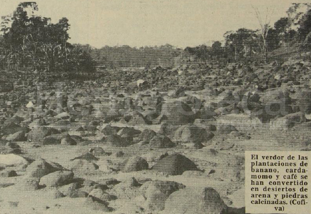 Aspecto de una parcela en El Viejo Palmar tras la correntada que bajó del Volcán Santiaguito. Fotografía publicada el 30/6/1983. (Foto: Hemeroteca PL)