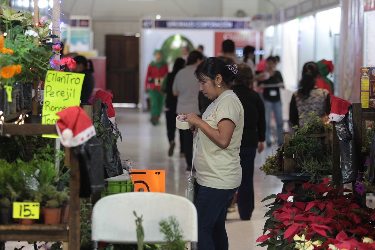 Decenas de personas caminan entre los bazares de la Interfer, que desde hoy abrió sus puertas. (Foto Prensa Libre: Edwin Bercián)