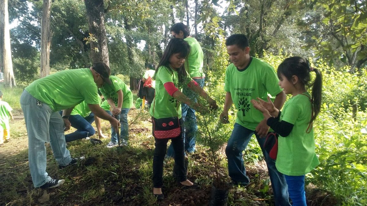 En la actividad participaron 150 colaboradores de Prensa Libre y sus familias (Foto Prensa Libre: Érick Ávila)