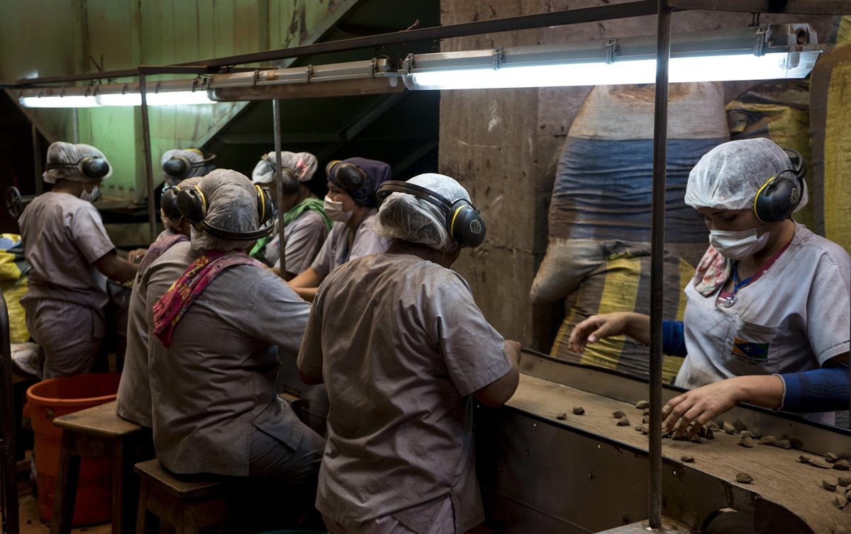 La fortaleza de las amazonas, guerreras mitológicas, se ve reflejada en mujeres de la Amazonía boliviana con el triple papel de madre, esposa y trabajadora que garantiza la supervivencia de familias que subsisten de la zafra. (Foto Prensa Libre: EFE)