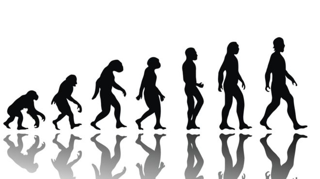 ¿Qué vendrá después del Homo sapiens? (THINKSTOCK).