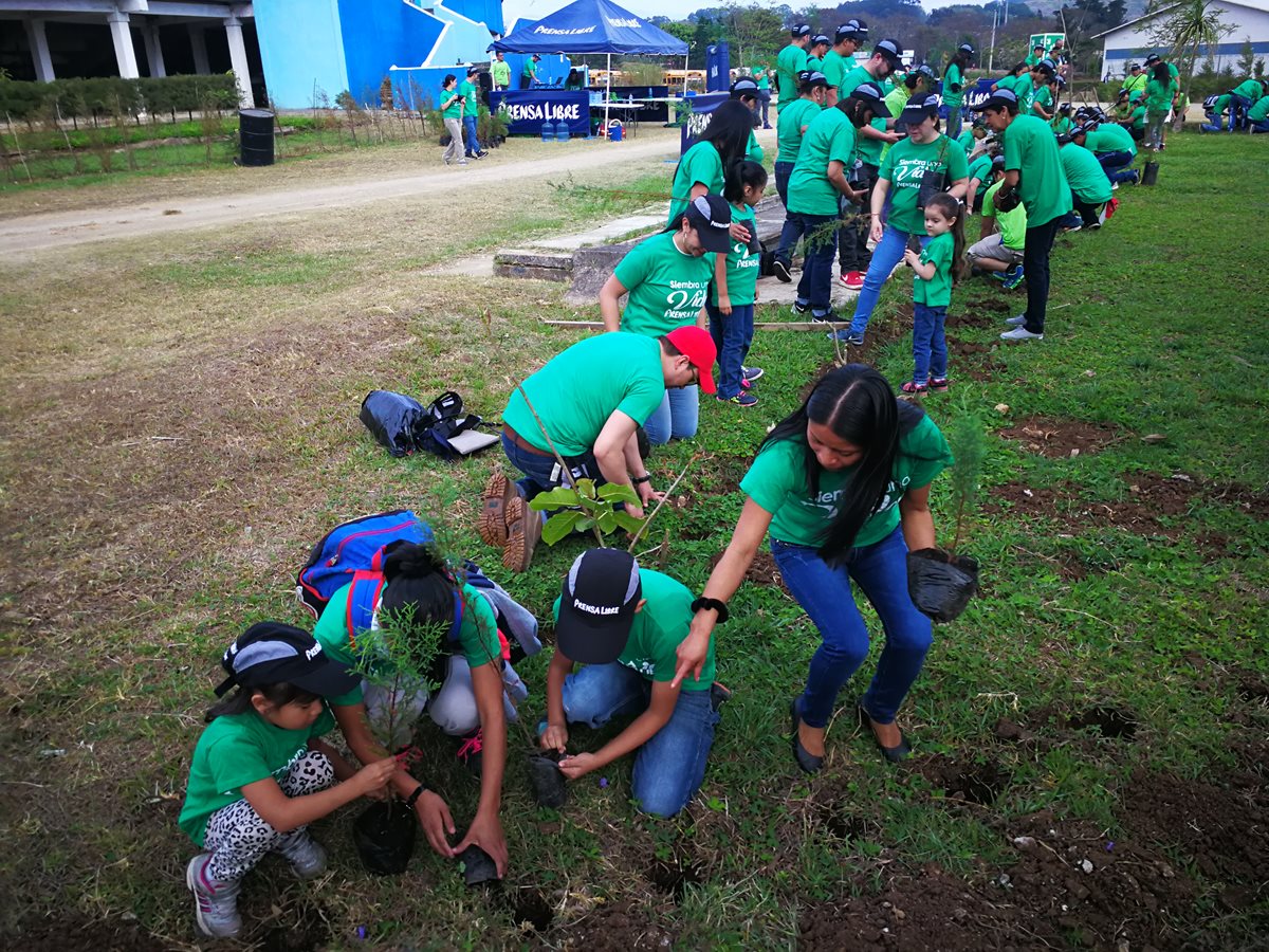 Unos 600 árboles de distintas especies han sido sembrados en tres años en el parque Érick Barrondo.(Prensa Libre: José Patzán)