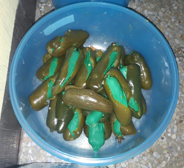 Decomisaron 38 chiles jalapeños rellenos de heroína en una empresa de encomiendas en la zona 1: (Foto Prensa Libre: PNC)