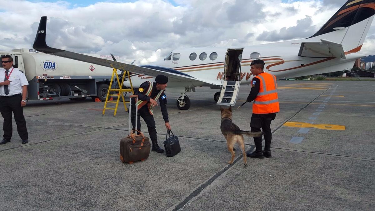 Agentes antinarcóticos, con perros adiestrados, revisan avionetas privadas en el aeropuerto internacional La Aurora, en la zona 13 (Foto Prensa Libre: PNC).