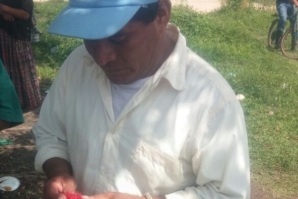 Erwin Caal Cuz, de 45 años, es amarrado a un árbol, en Sayaxché, Petén. (Foto Prensa Libre: Walfredo Obando)