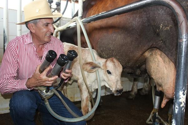 El gabadero Marco Aurelio Pineda utiliza máquinas ordeñadoras en la hacienda La Selva, en Chiquimulilla, Santa Rosa. (Foto Prensa Libre: Oswaldo Cardona)<br _mce_bogus="1"/>
