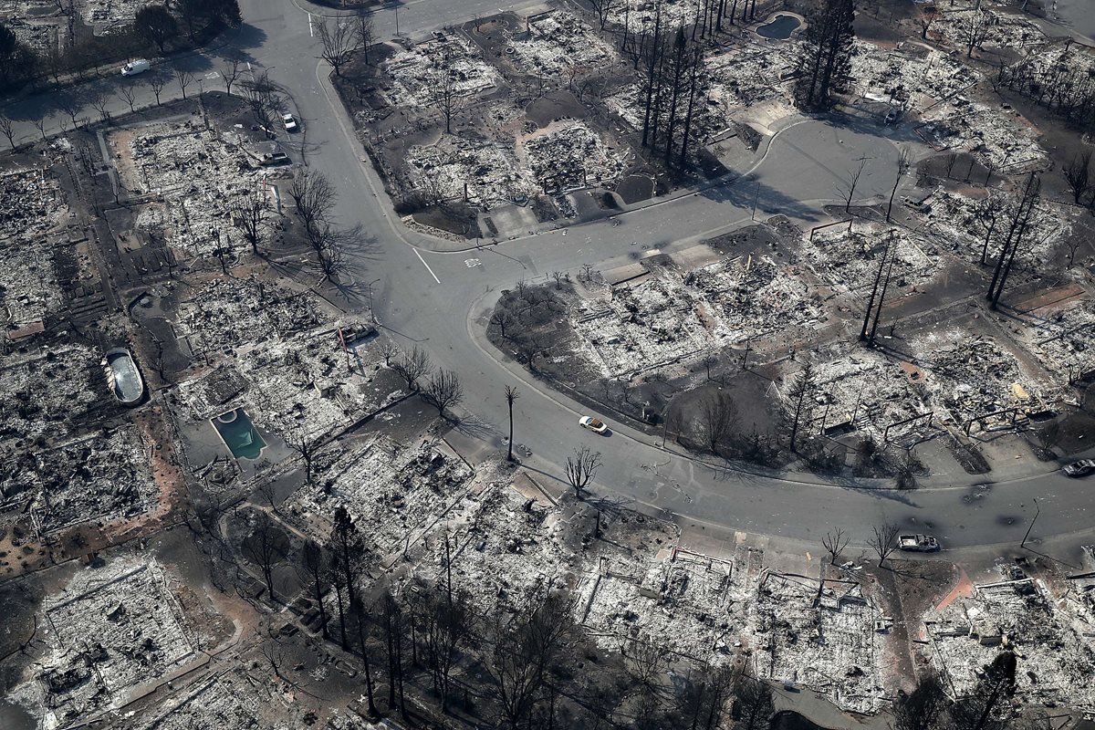 69 mil hectáreas fueron arrasadas por el incendio.