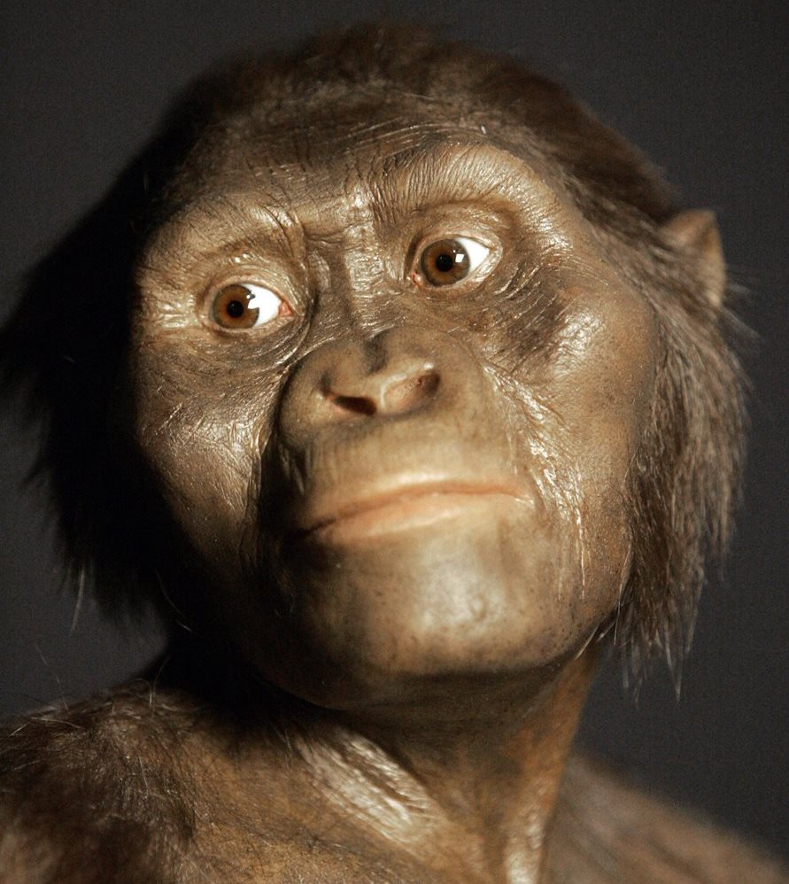 La imagen muestra un modelo tridimensional del antepasado humano temprano, Australopithecus afarensis, conocido como Lucy. (Foto Prensa Libre: AP).