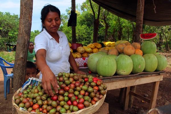 GRAN VARIEDAD de frutas tropicales pueden disfrutarse en la playas de Mazatenango.