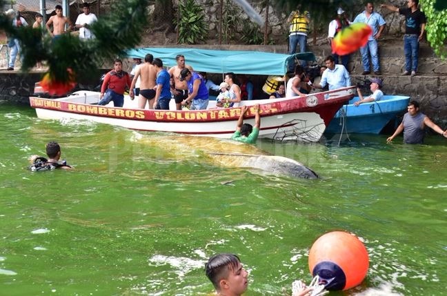 Bomberos auxilian a las personas que cayeron al Lago por el vuelco de la lancha. (Foto Prensa Libre: William Santos)