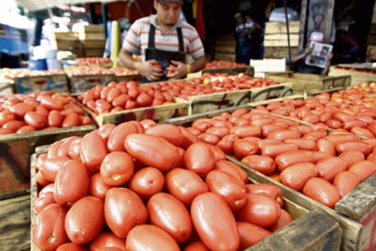 la libra de tomate se cotizó a Q7 en el departamento de Guatemala.