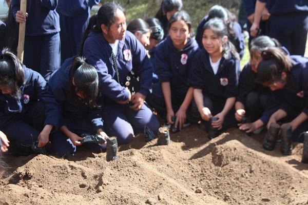 Estudiantes del colegio Pedro de Bethancourt  siembran semillas de distintas especies de árboles. (Foto Prensa Libre: Édgar Domínguez)