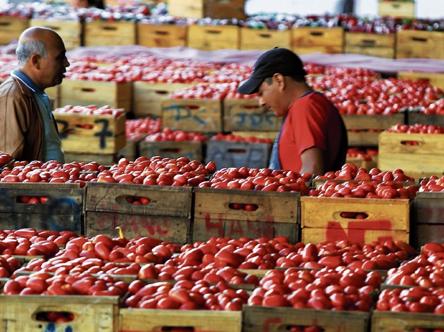 El tomate fue uno de los productos que registró alza en octubre y que incidió en el ritmo inflacionario, según el INE. (Foto Prensa Libre: Carlos Hernández)