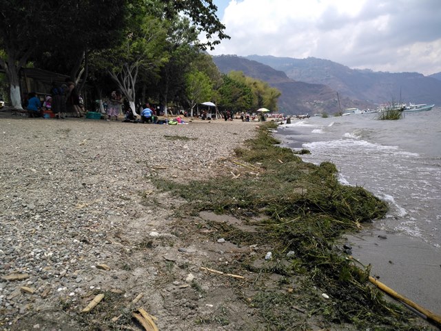 Vecinos y comerciantes por convenio con la comuna de Panajachel recolectan la basura. (Foto Prensa Libre: Ángel Julajuj)