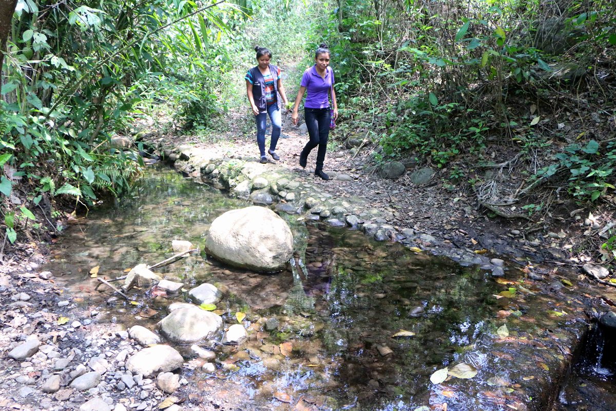 El nacimiento de agua en Retalhuleu corre peligro por la instalación de una hidroeléctrica.(Foto Prensa Libre: Rolando Miranda)