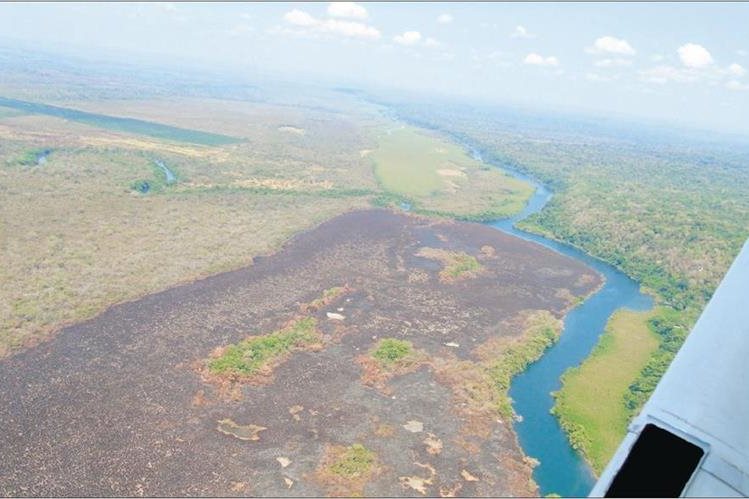 La Biosfera Maya ha resultado afectada drásticamente debido al uso del suelo para siembras y la ganadería. (Foto HemerotecaPL)