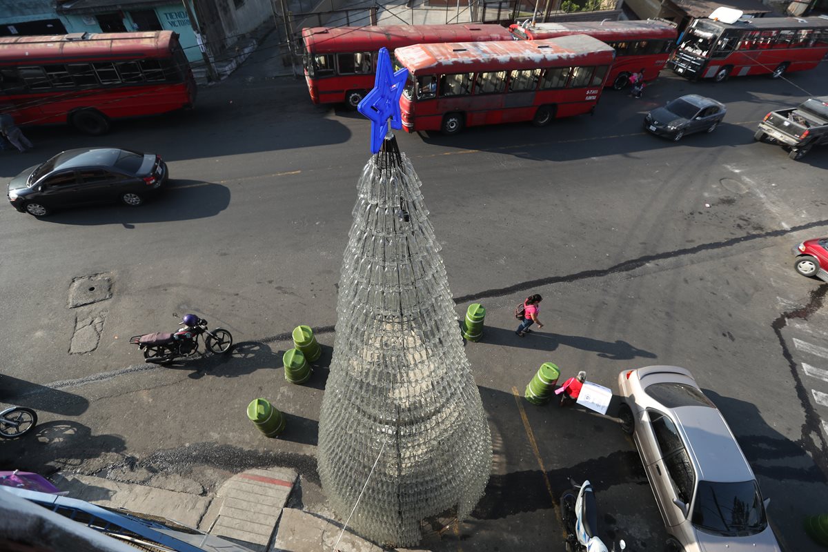 El árbol mide seis metros de altura. (Foto Prensa Libre: Esbin García)