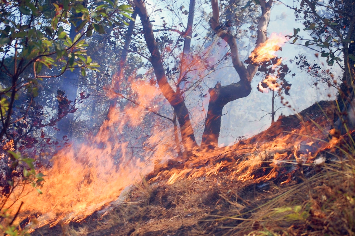 El viento impedía controlar el incendio en Sololá. (Foto Prensa Libre: Édgar Sáenz)