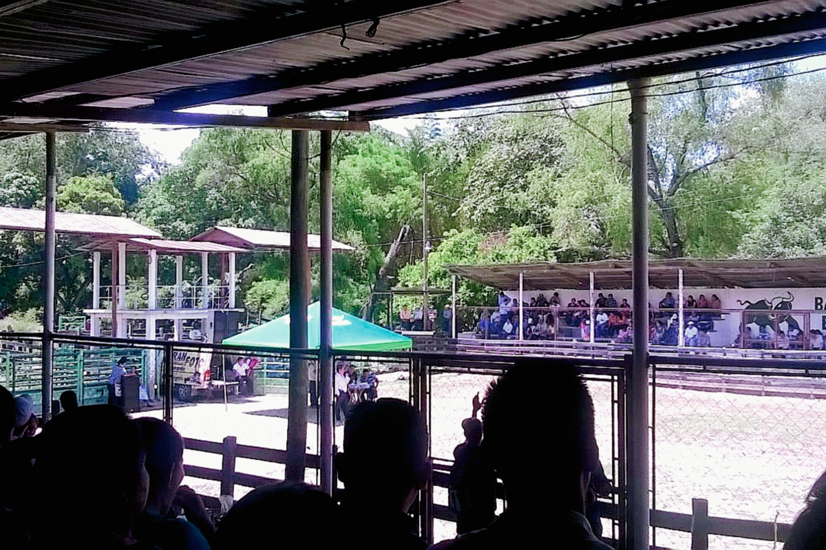 En una  asamblea celebrada el viernes en Salamá, Baja Verapaz, la dirigencia magisterial de ese departamento declinó de participar en marchas organizadas para este sábado. (Foto Prensa Libre: Carlos Grave)