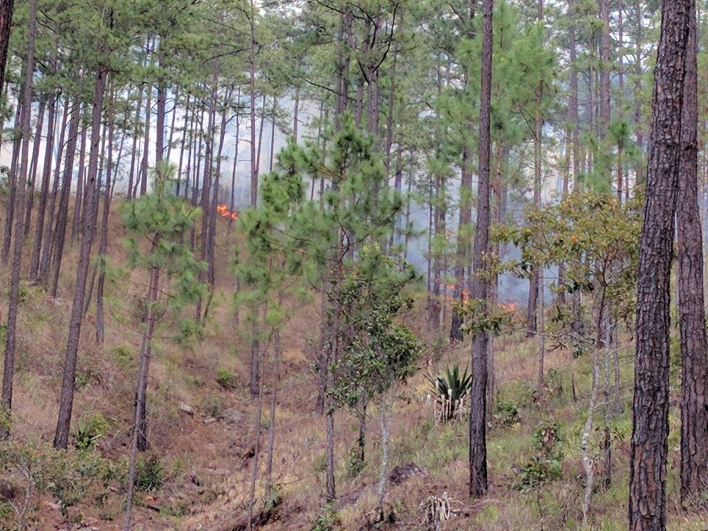 El fuego, que comenzó en una quema agrícola, no ha sido controlado por bomberos forestales de Sipecif. (Foto Prensa Libre: Mario Morales)