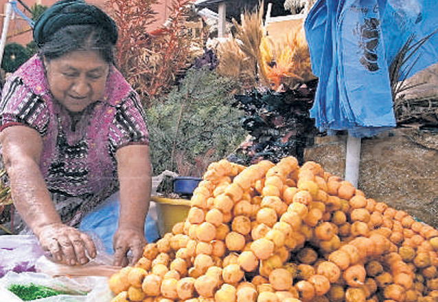 Los frutos de la tierra forman parte imprescindible de los nacimientos. (Foto: Hemeroteca PL)