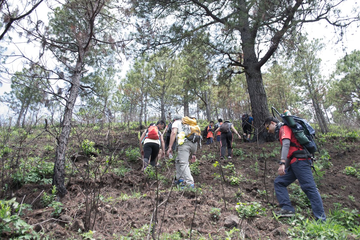 Además de observar paisajes, el contacto con la naturaleza es único. PRENSA LIBRE/ CORTESÍA JAIME CARRILLO