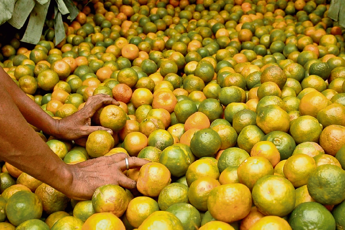 La naranja ha vivido un ciclo de inestabilidad de precios debido a los cambios de estación. (Foto Prensa Libre: Hemeroteca)