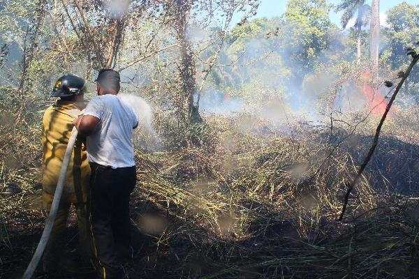 Bomberos Voluntarios controlan fuego para que no se propague  a viviendas.