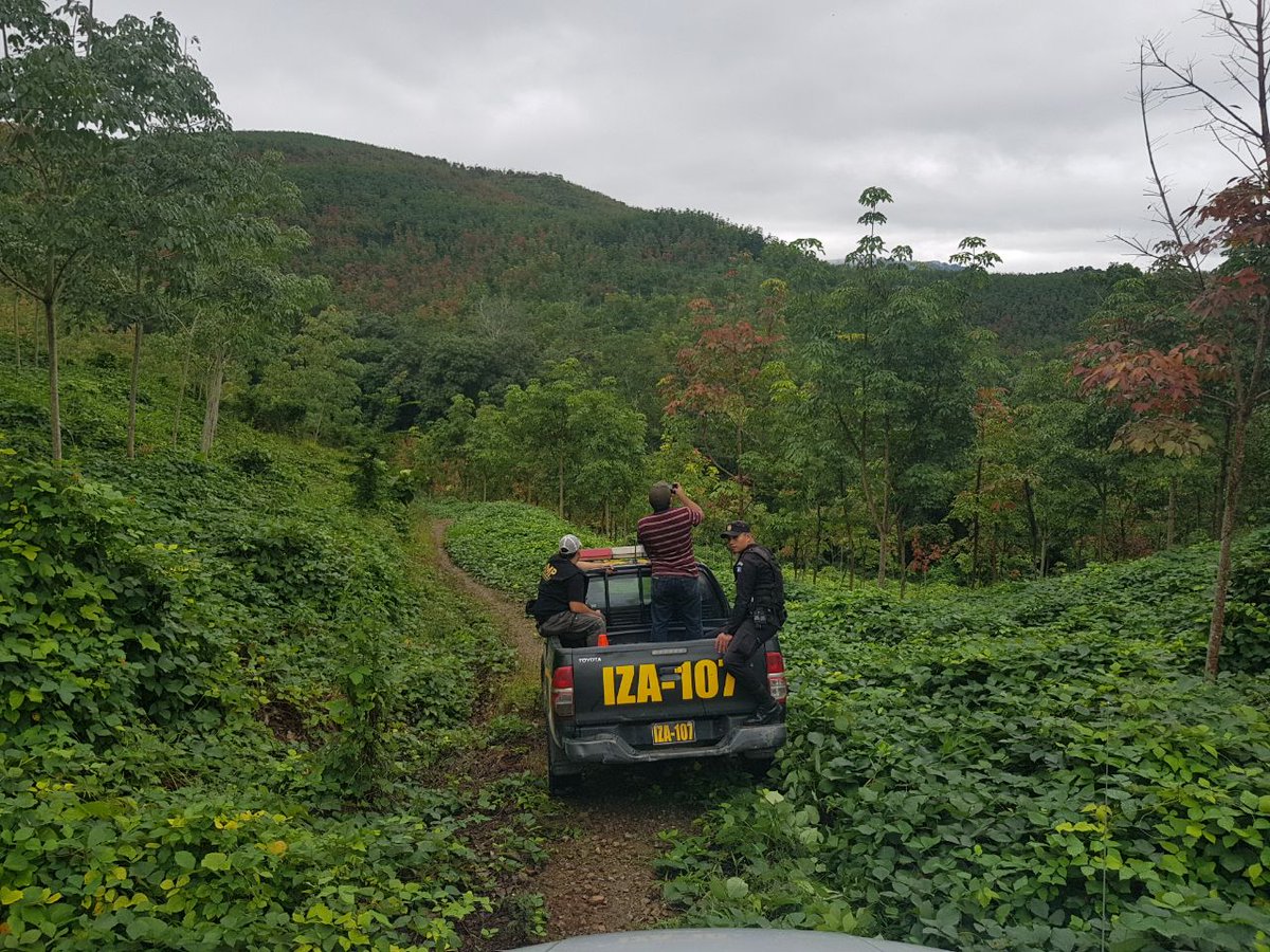 Una finca vinculada al expresidente Otto Pérez Molina en Lívingston, Izabal, pudiera ser extinguida a favor del Estado. (Foto Prensa Libre: MP)