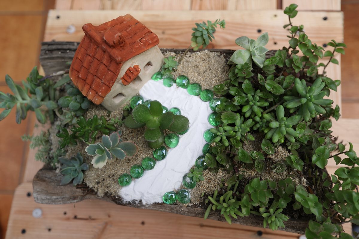 Los jardines en miniatura son un atractivo elemento que permite disfrutar de una idealizada naturaleza. (Foto Prensa Libre, Brenda Martínez)