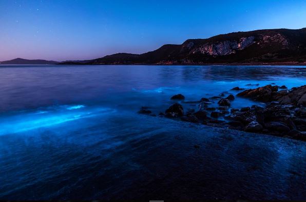 Gracias a organismos es posible la bioluminiscencia en el mar que genera luz azulada. (Foto Prensa Libre: @leannemarshall)
