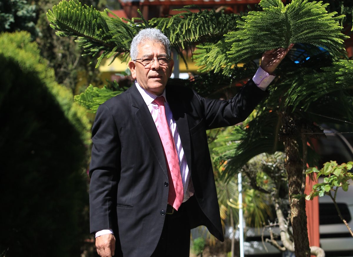 Hace cinco años, Miguel Ángel Gálvez Aguilar sembró una araucaria en su jardín porque le recuerda a uno de sus autores favoritos, Hermann Hesse. (Foto Prensa Libre: Esbin García)